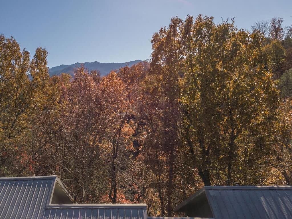 Sasquatch Lodge E Sleeps 13 جاتلينبرج المظهر الخارجي الصورة